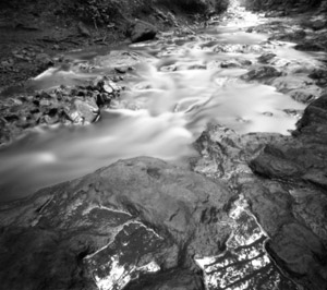 Creek, Sky, and Trees