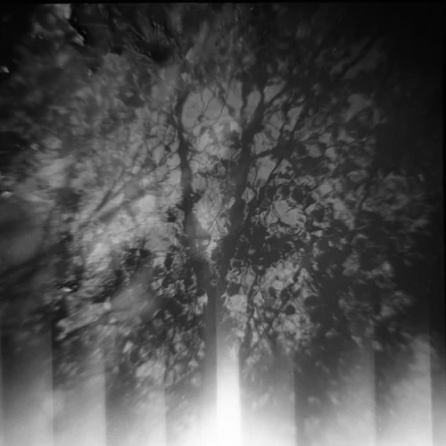 The abandoned soul emerges