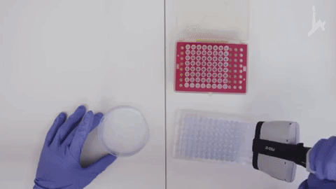 giphy (8).gif