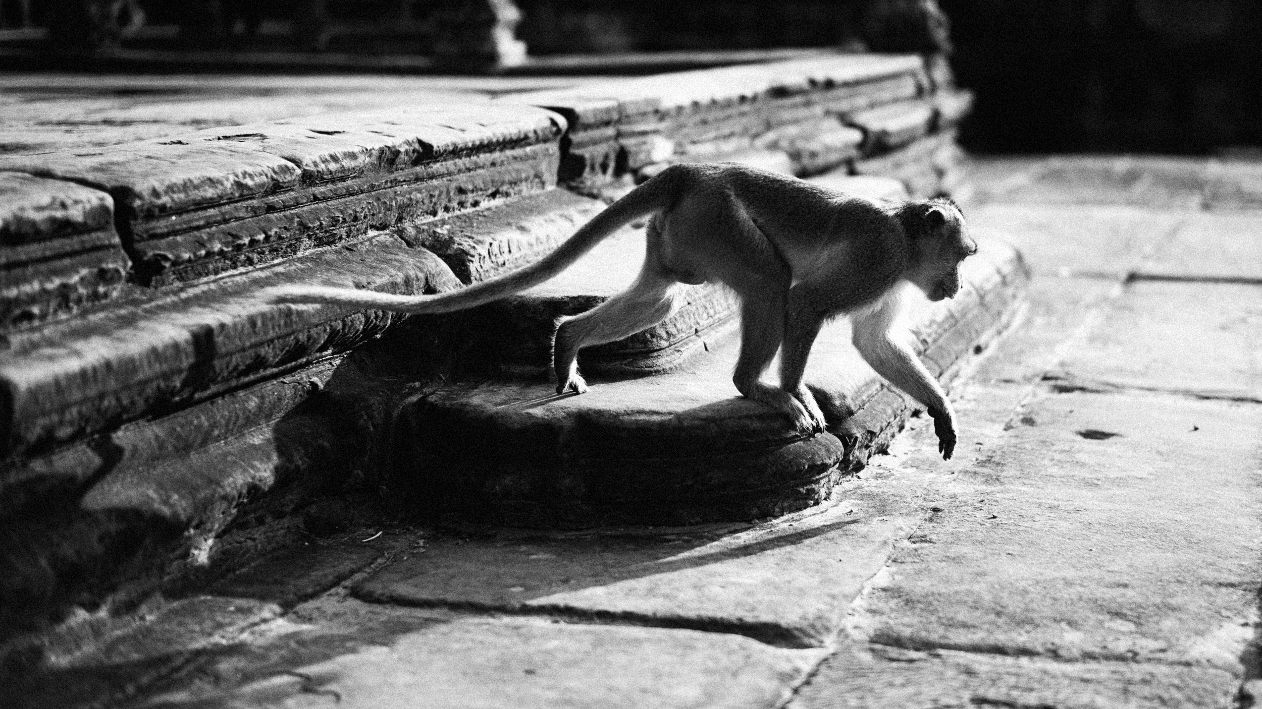 Ankor Wat 2017-147-Edit.jpg