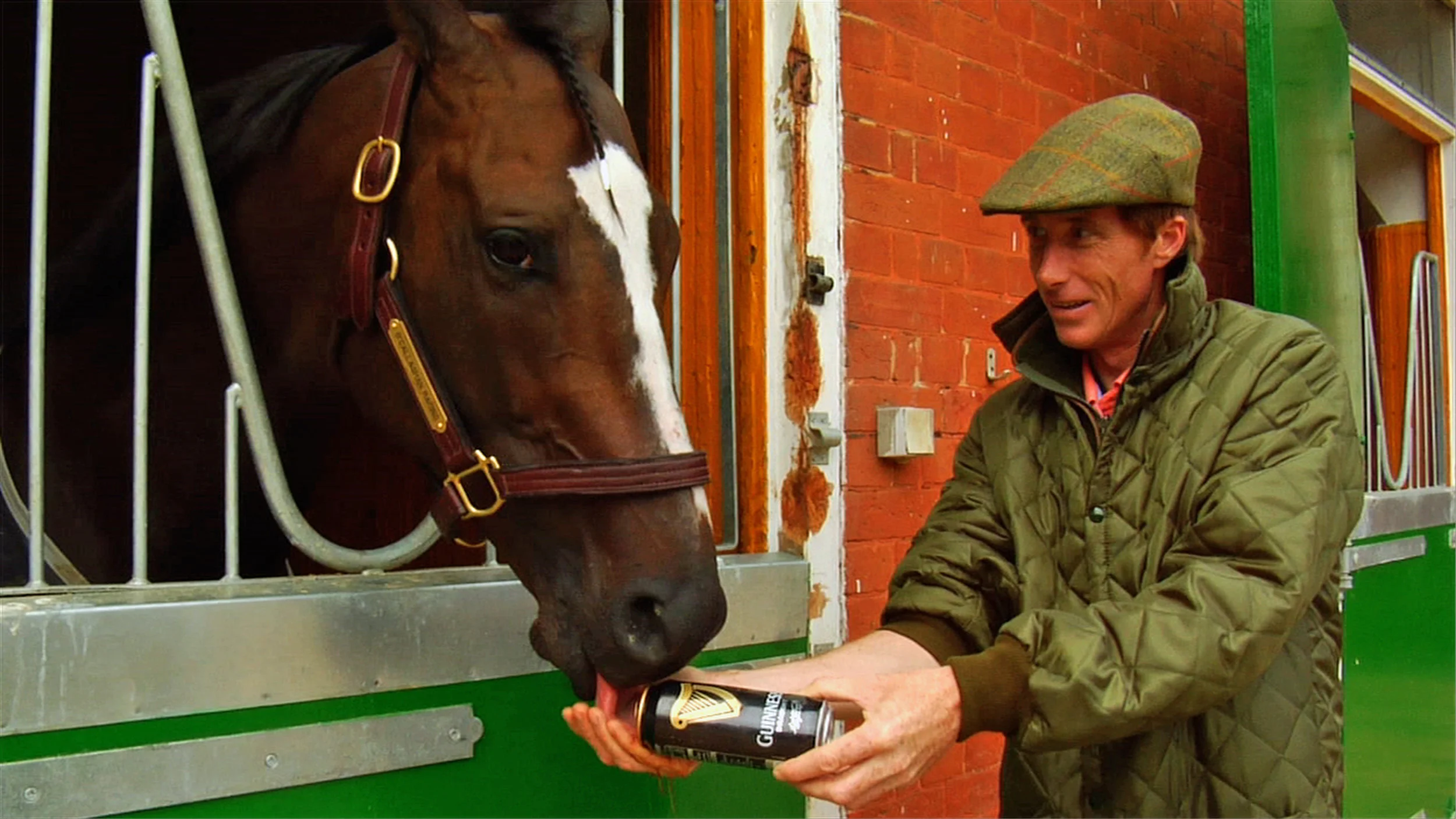 Trainer Carl O'Callaghan gives Kinsale King a pint of Guinness beer in the documentary "Chasing the Win." (Indie Rights)