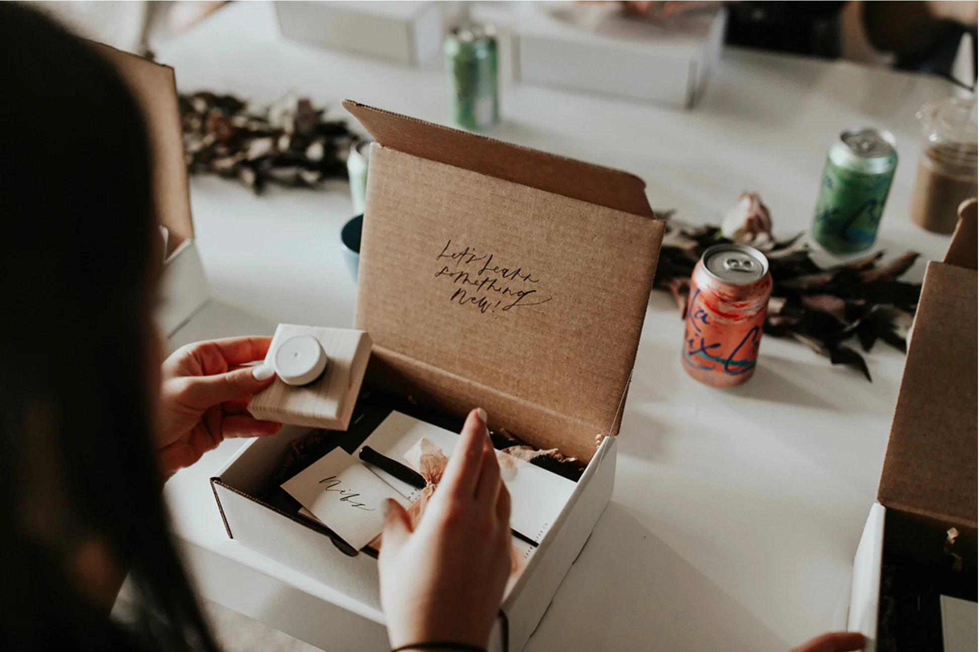 Beginner Modern Calligraphy Kit