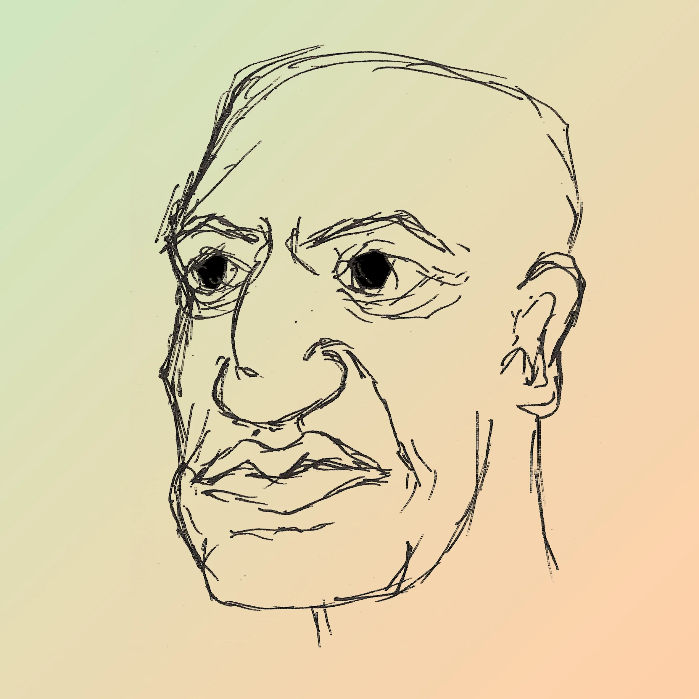 97.jpg