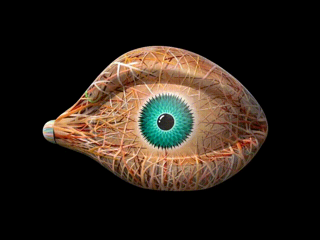 forest vision420.gif