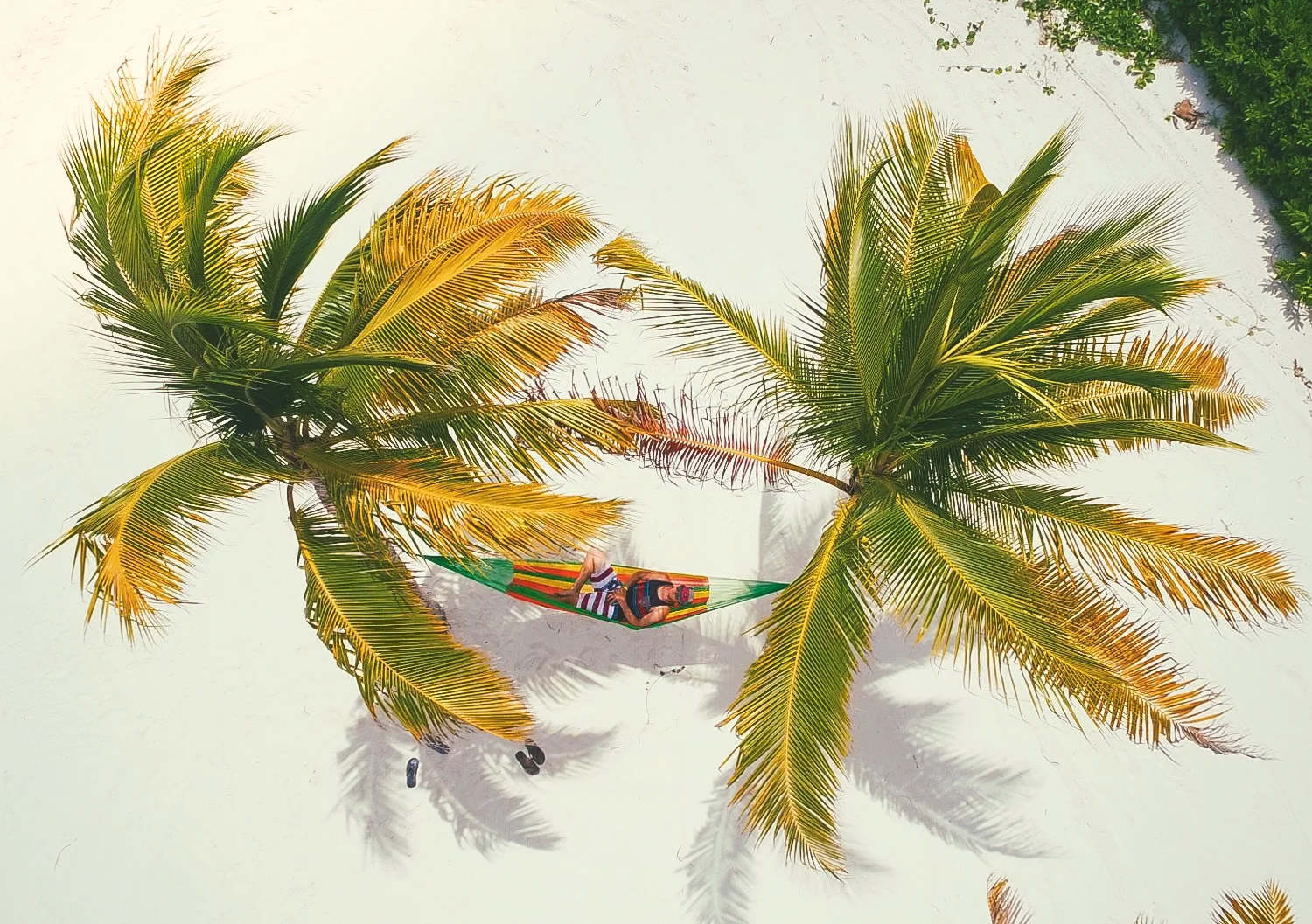 Wes q (1 of 1)-5.jpg