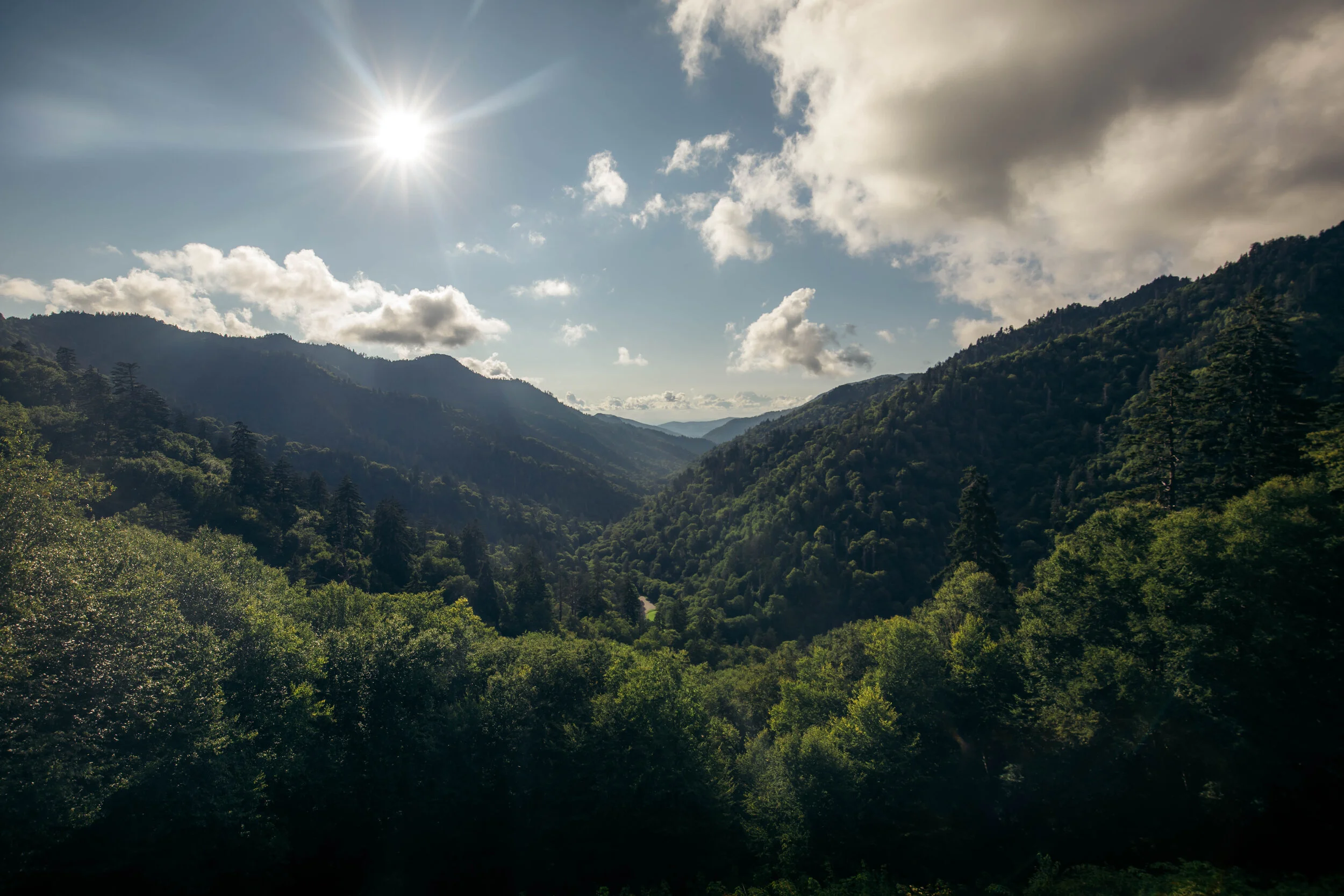 Helen  (1 of 1)-10.jpg