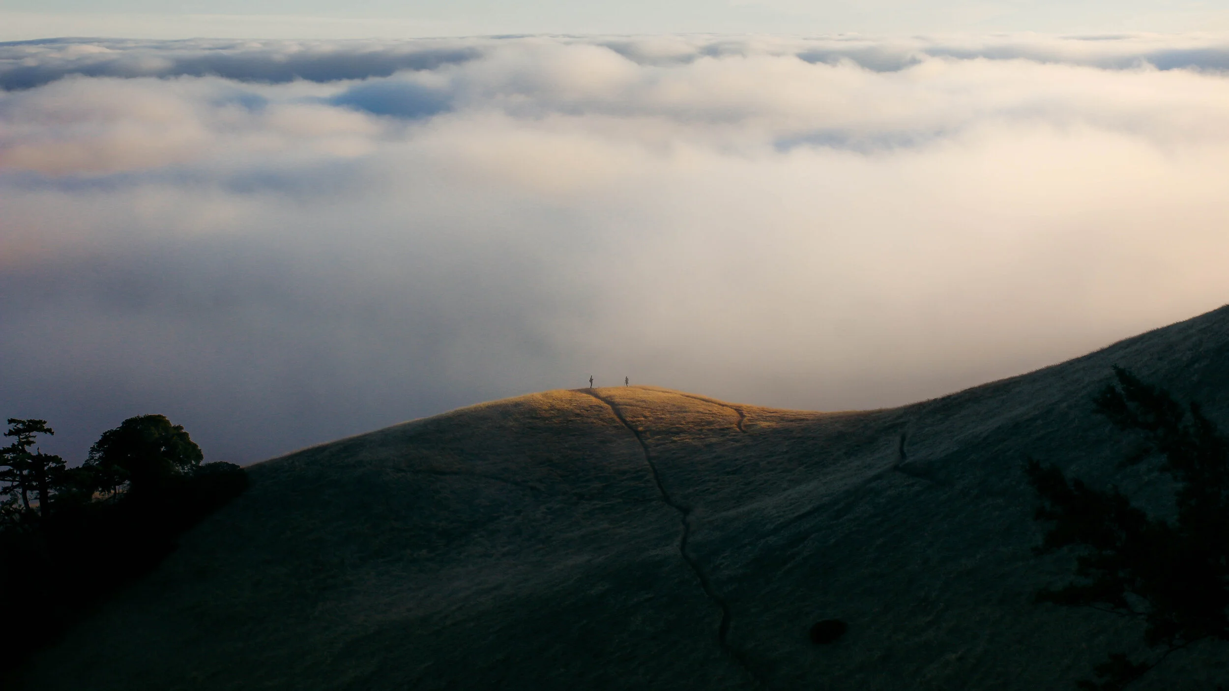 Helen  (1 of 1)-15.jpg