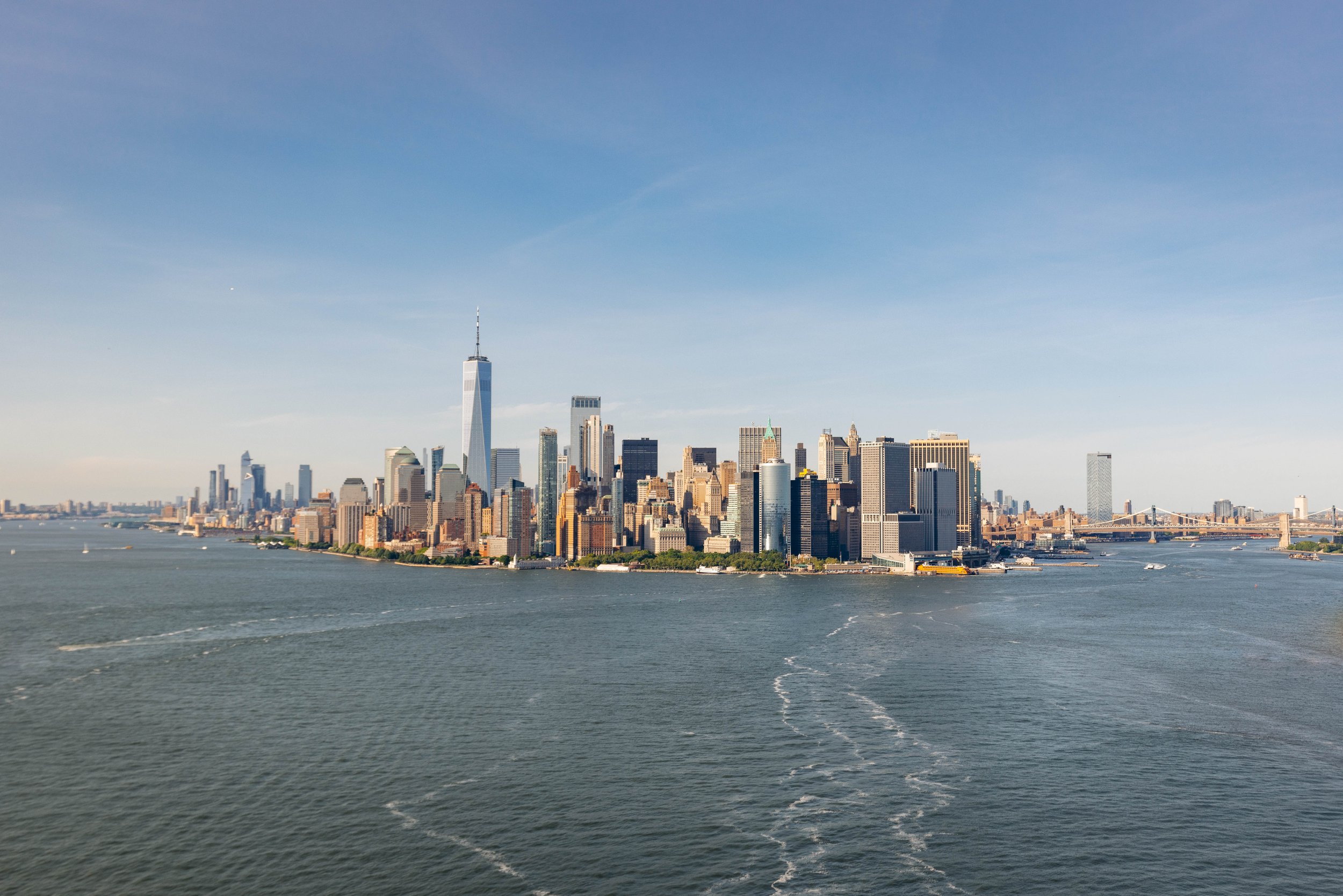 FlyNyon (1 of 1) 8.jpg