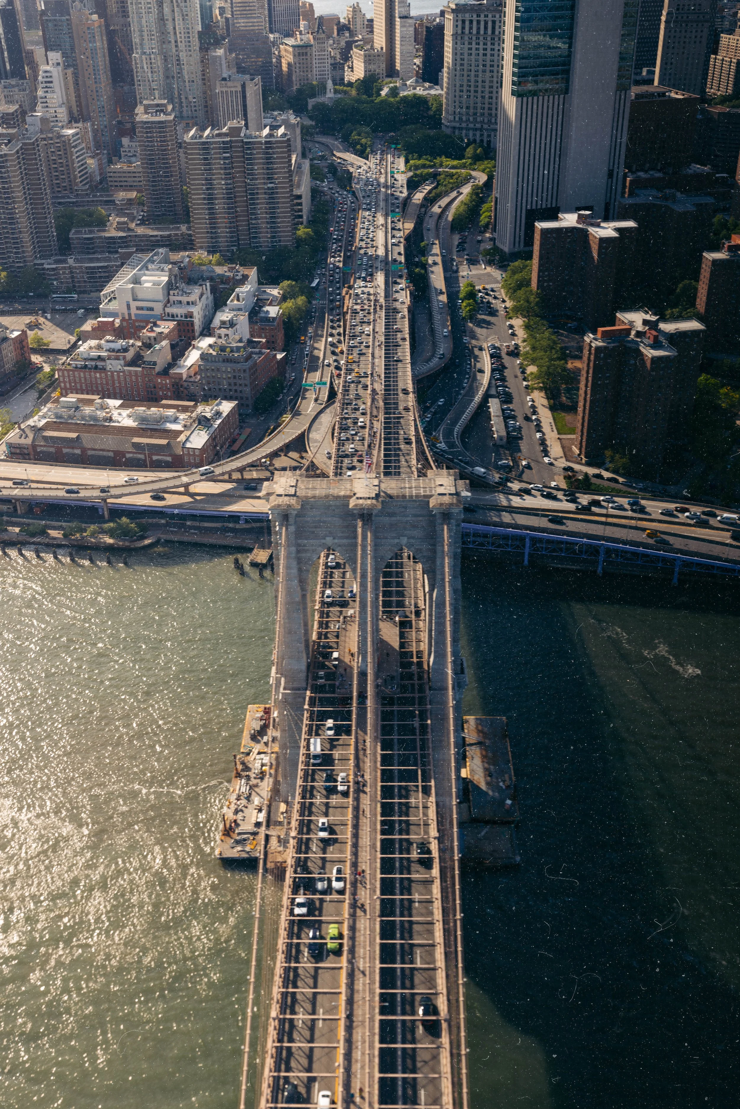 FlyNyon (1 of 1) 2.jpg