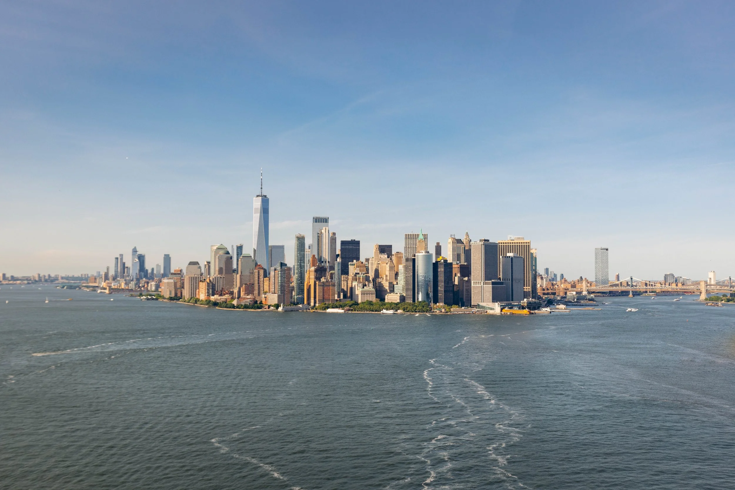 FlyNyon (1 of 1) 8.jpg