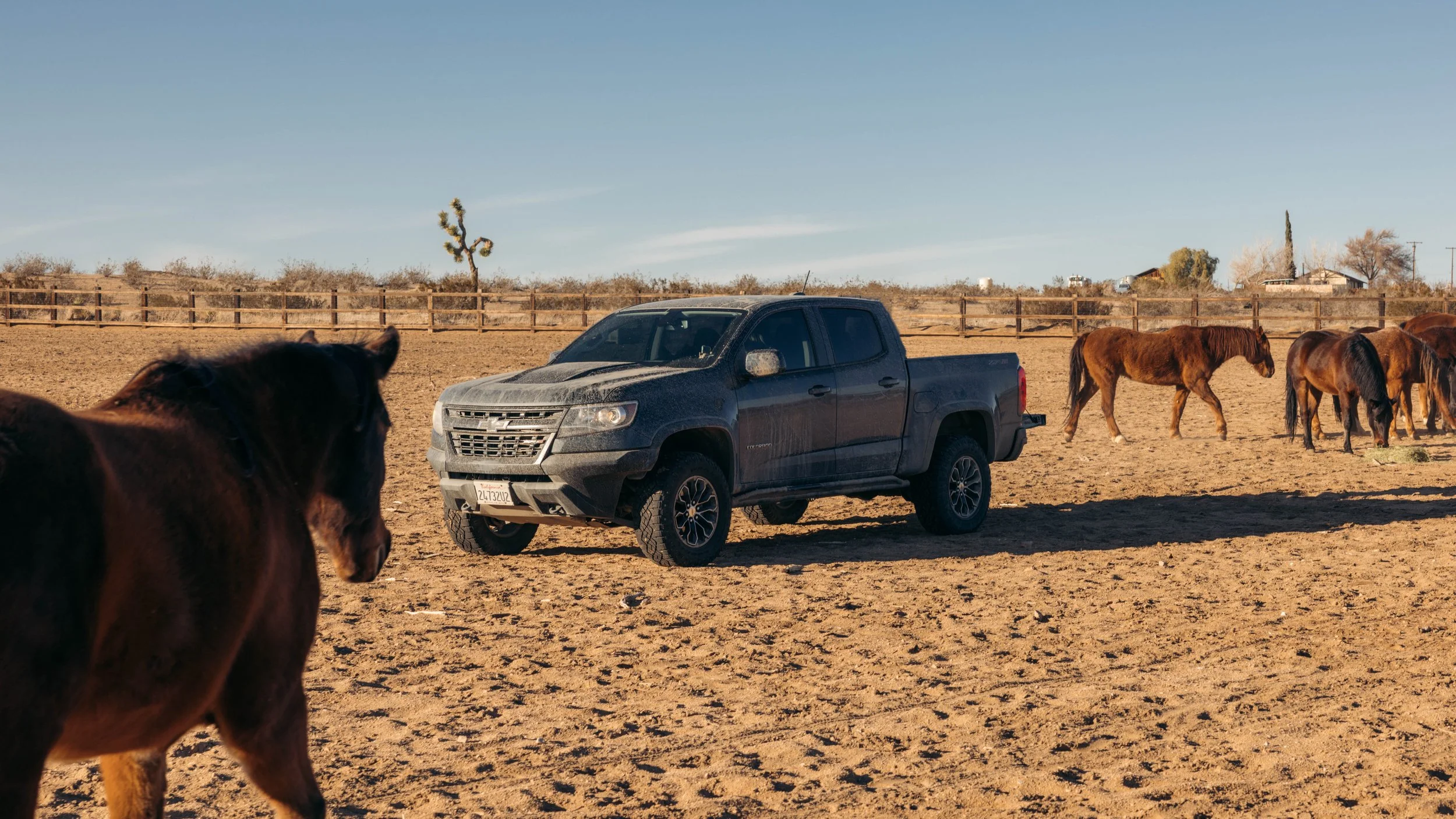 Zr2 Truck Shoot (1 of 1)-6.jpg