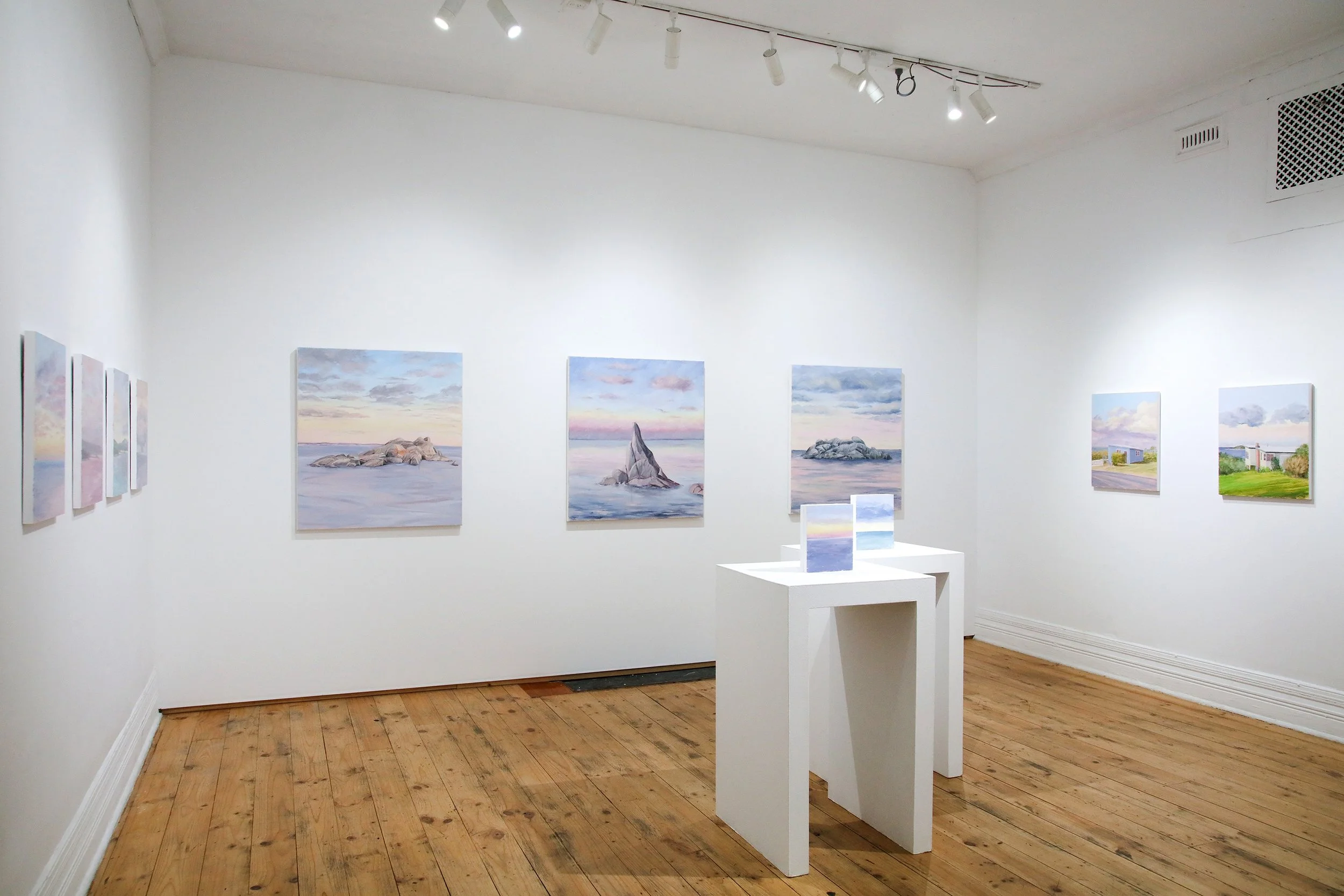 AlexanderBeech_Callofthecoast_BrunswickStreetGallery_Install.jpg