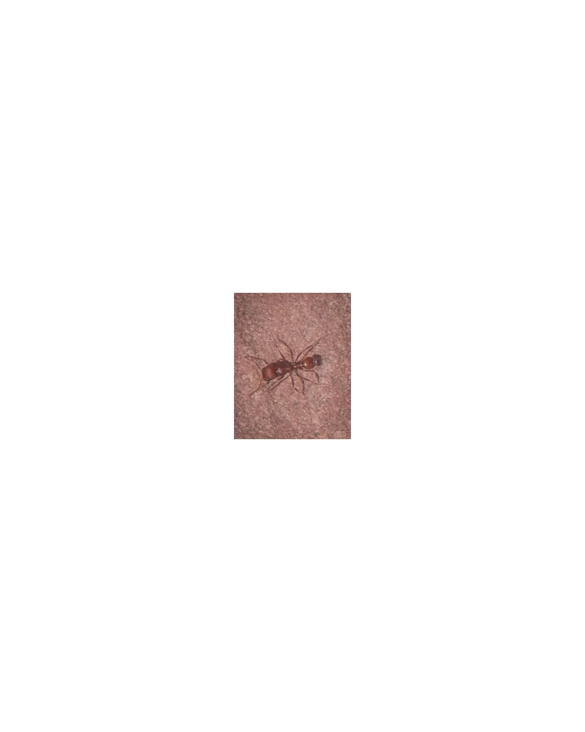 bordered 18.jpg