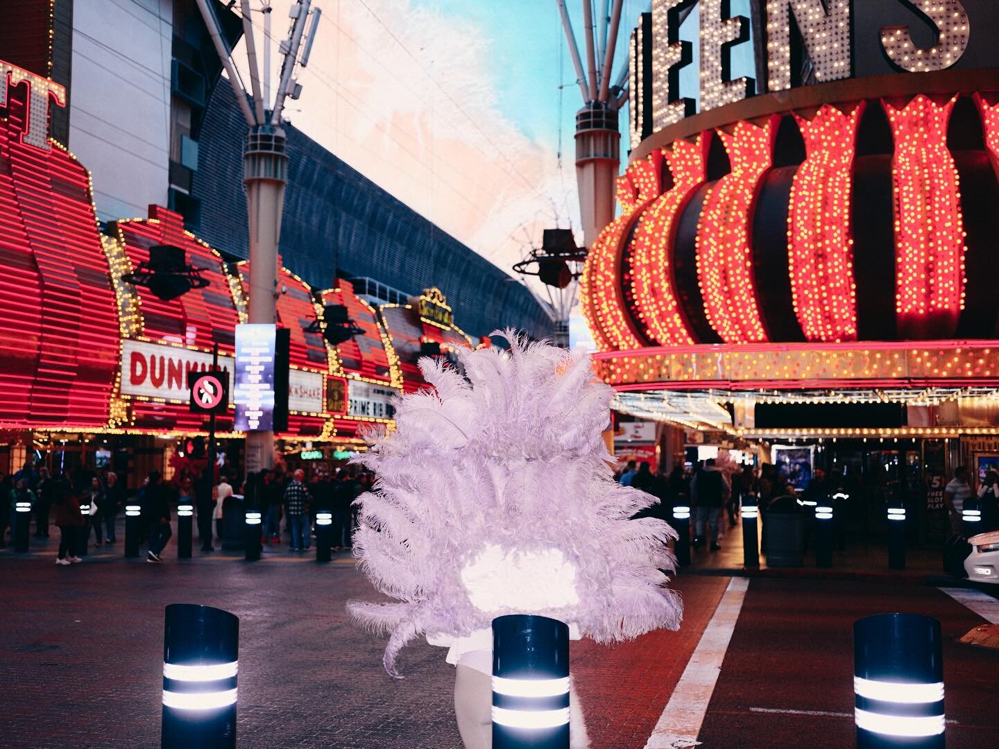 Feather girls at the old strip

#fujifilm #fujifilmgfx50sii #mediumformat