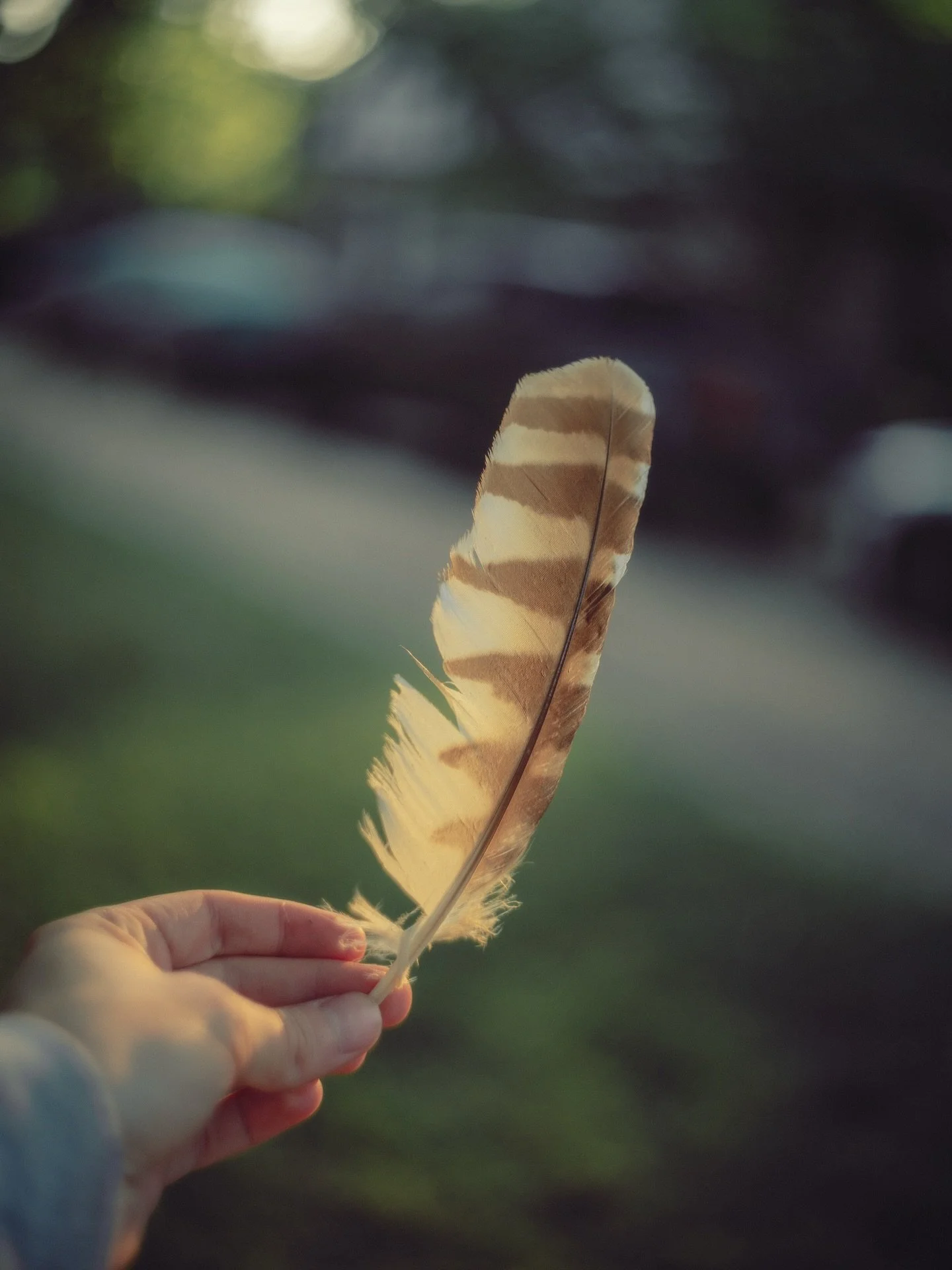 Beautiful little moments n details from my trip home