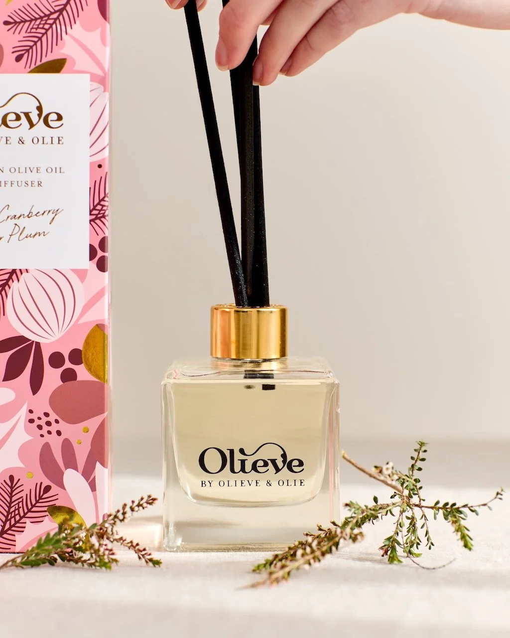 ©WillowCreative_Olieve&OlieAug20251686.jpg