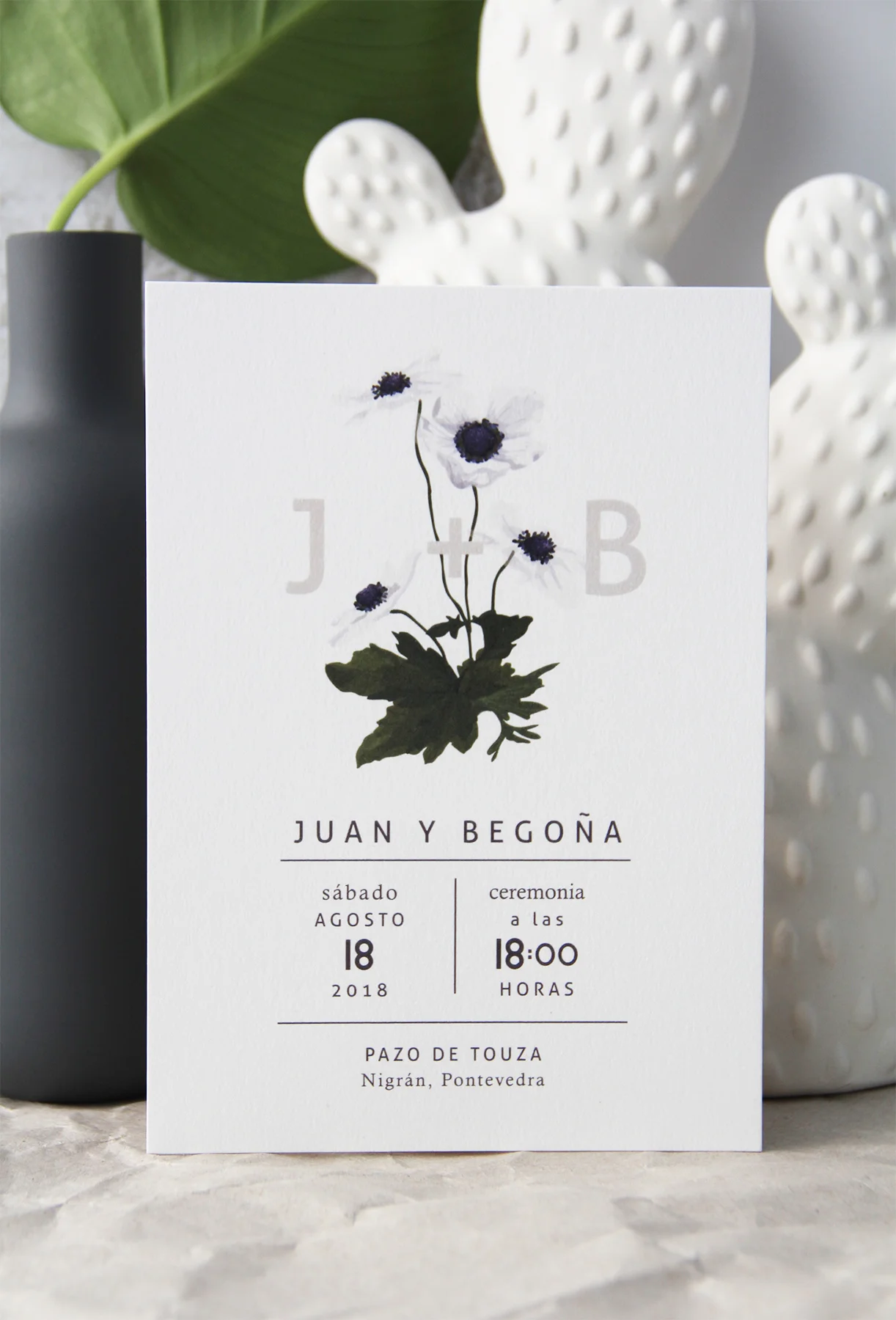 Invitación Anemone — Holyoke Paper Co.