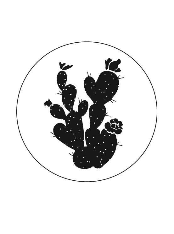 lacre-cactus2.png