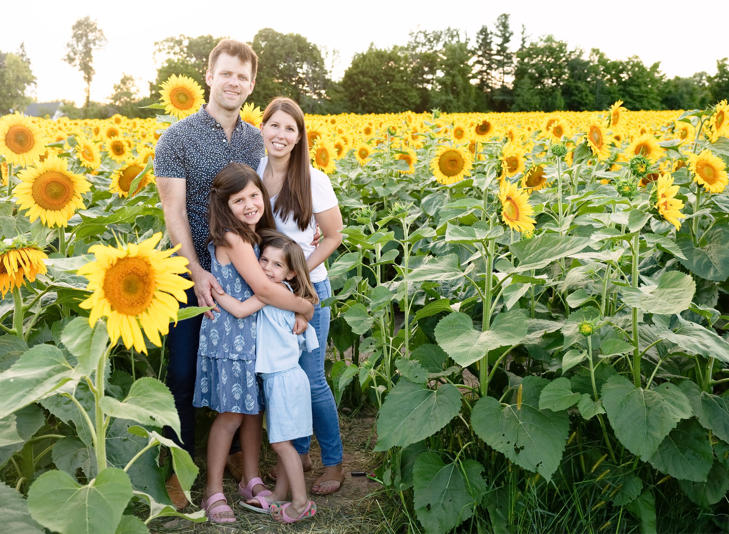 Sunflowers_Phillips_2022_00028.jpg