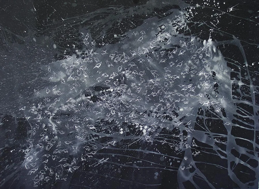 CONSTELLATIONS