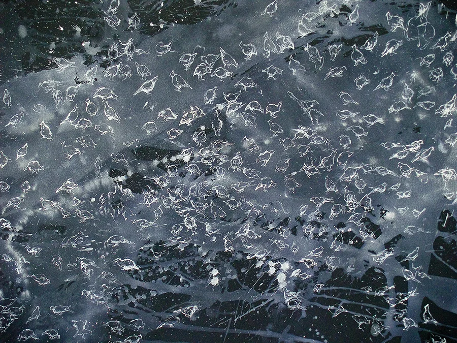 CONSTELLATIONS