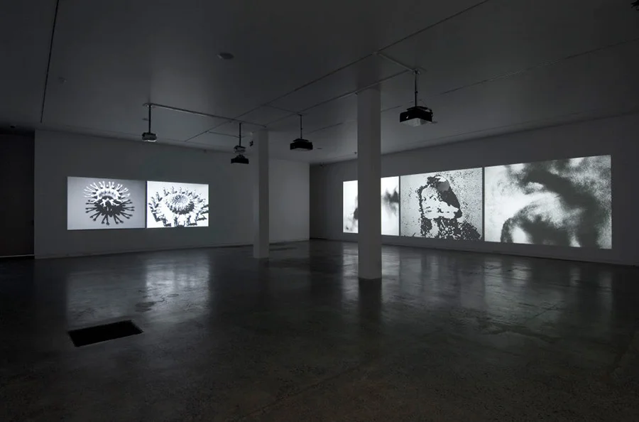 VIDEO INSTALLATION