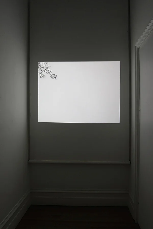 PERPETUUM MOBILE 