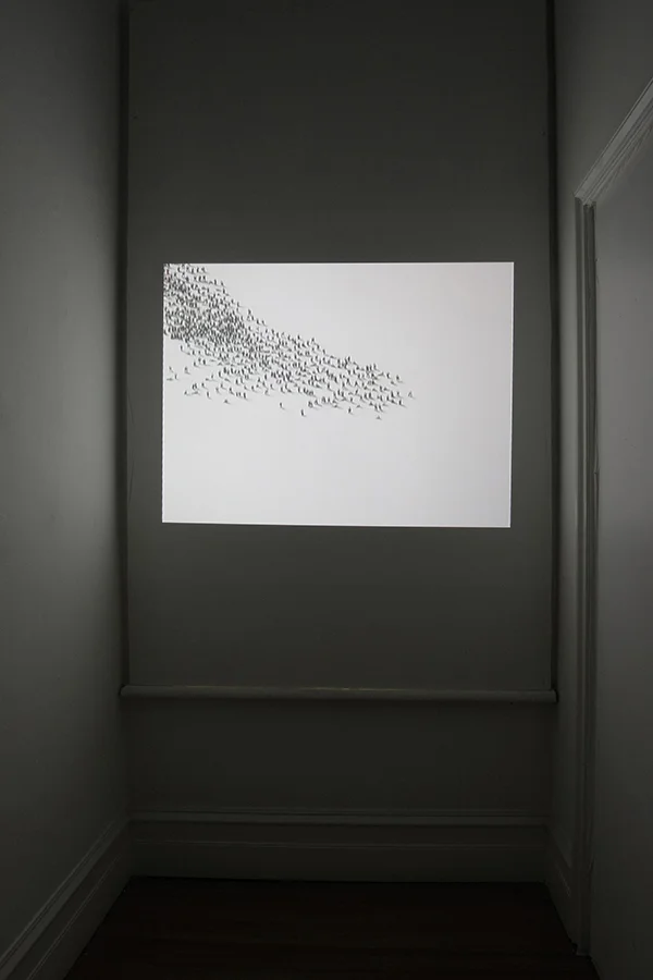 PERPETUUM MOBILE 