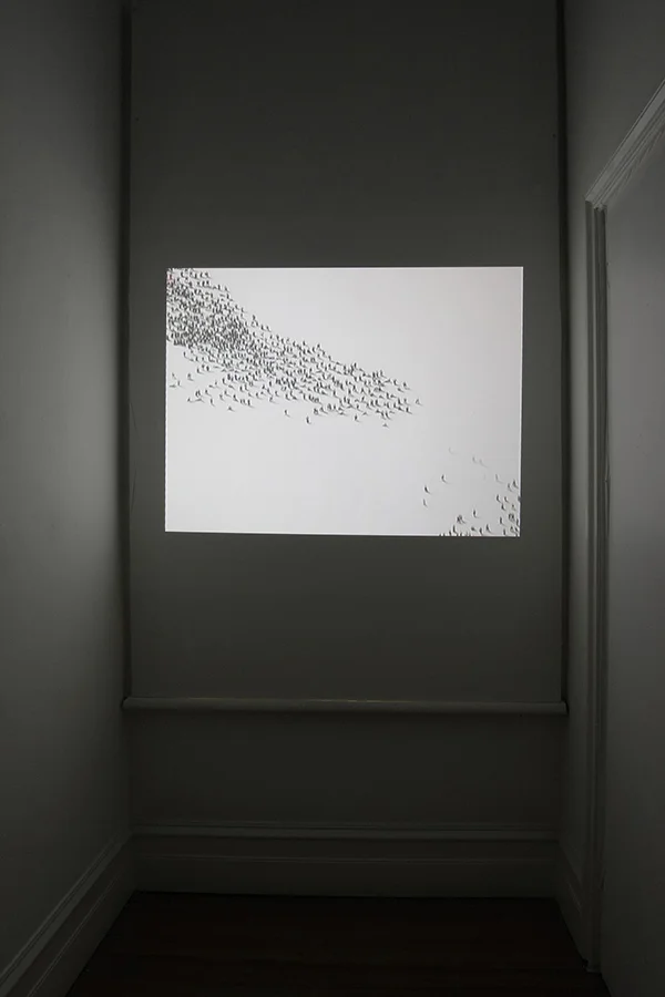 PERPETUUM MOBILE 