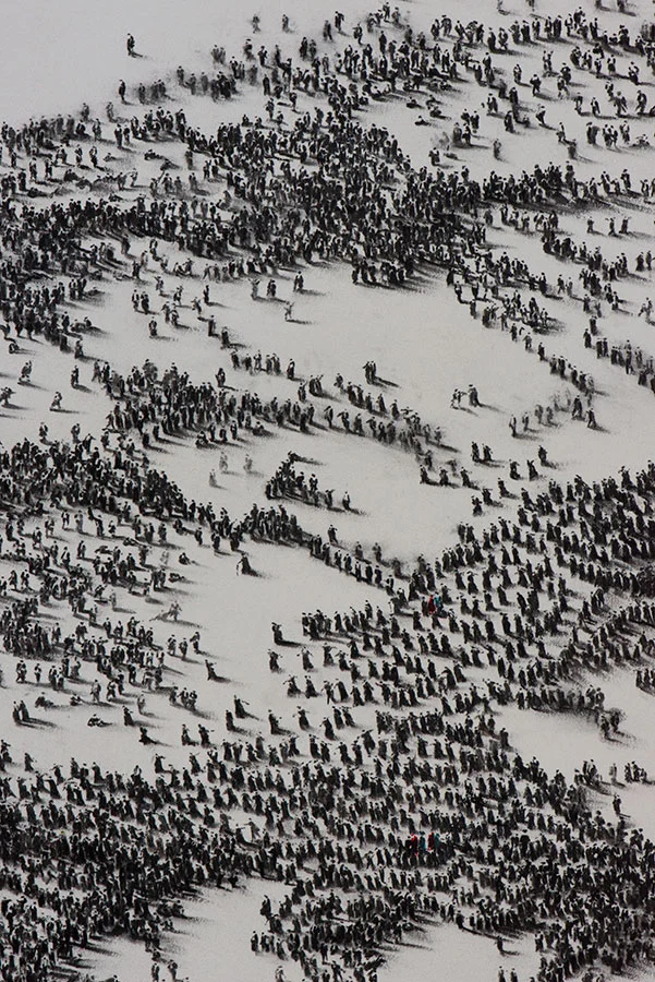 CROWD