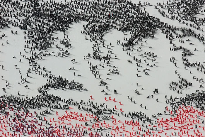 SONNETS FROM THE CRIMEA