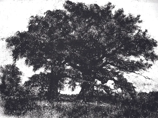  Video Still, Tea Leaf Reading series (Reading 3), 2009 