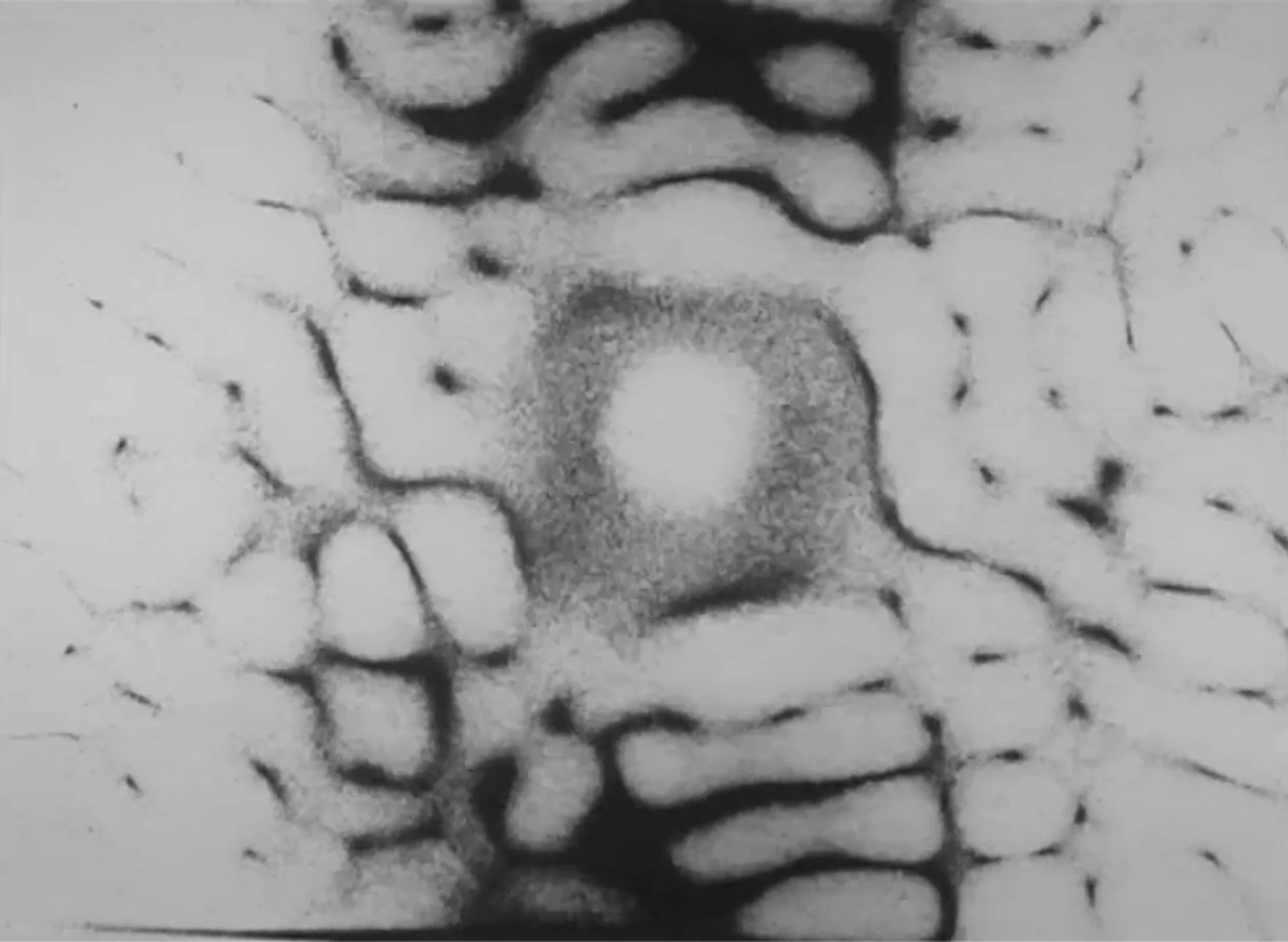 Medaliony-©Dorota-Mytych-2025-4.jpg