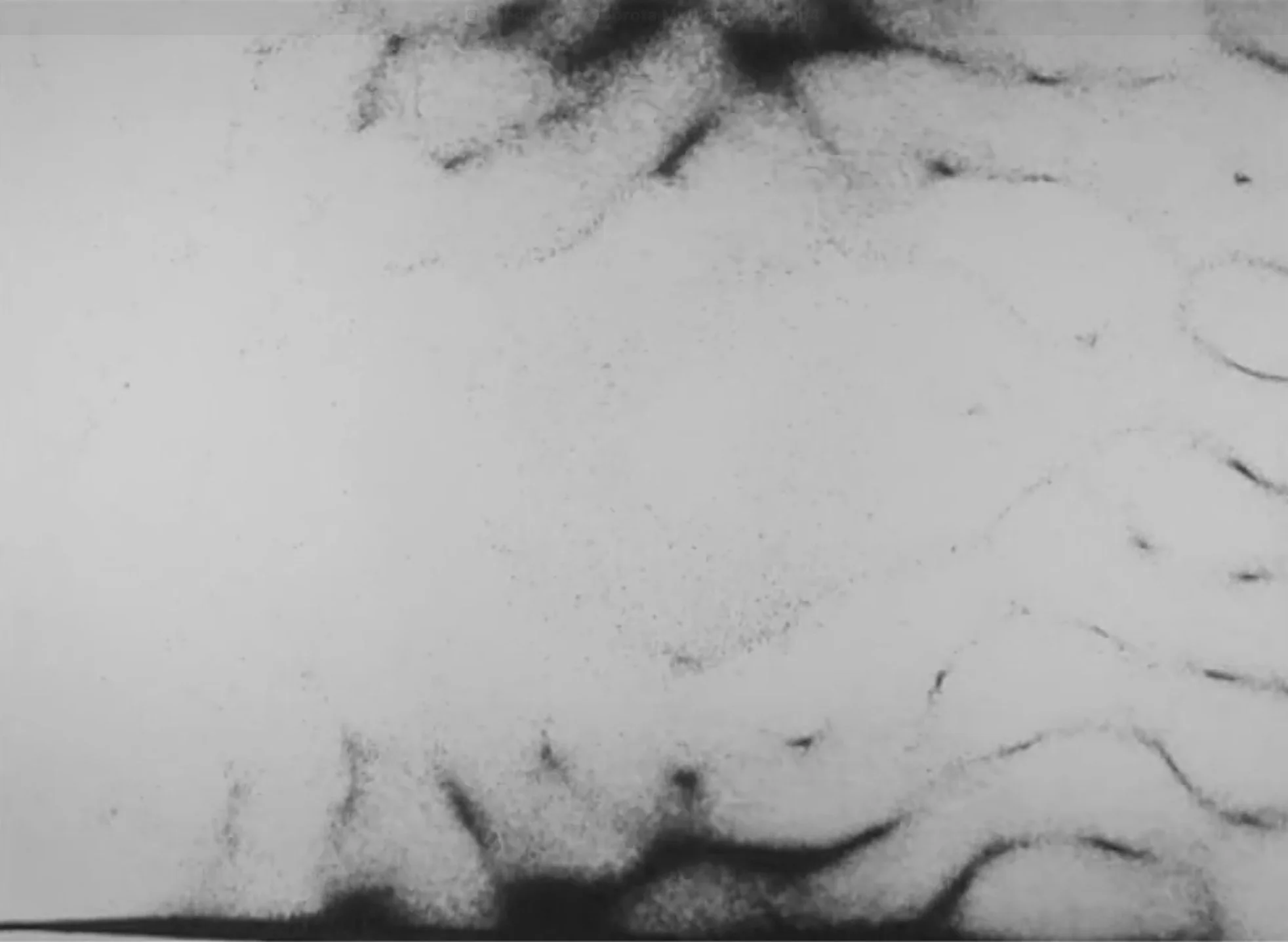 Medaliony-©Dorota-Mytych-2025-5.jpg