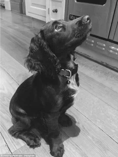 Olive Beckham