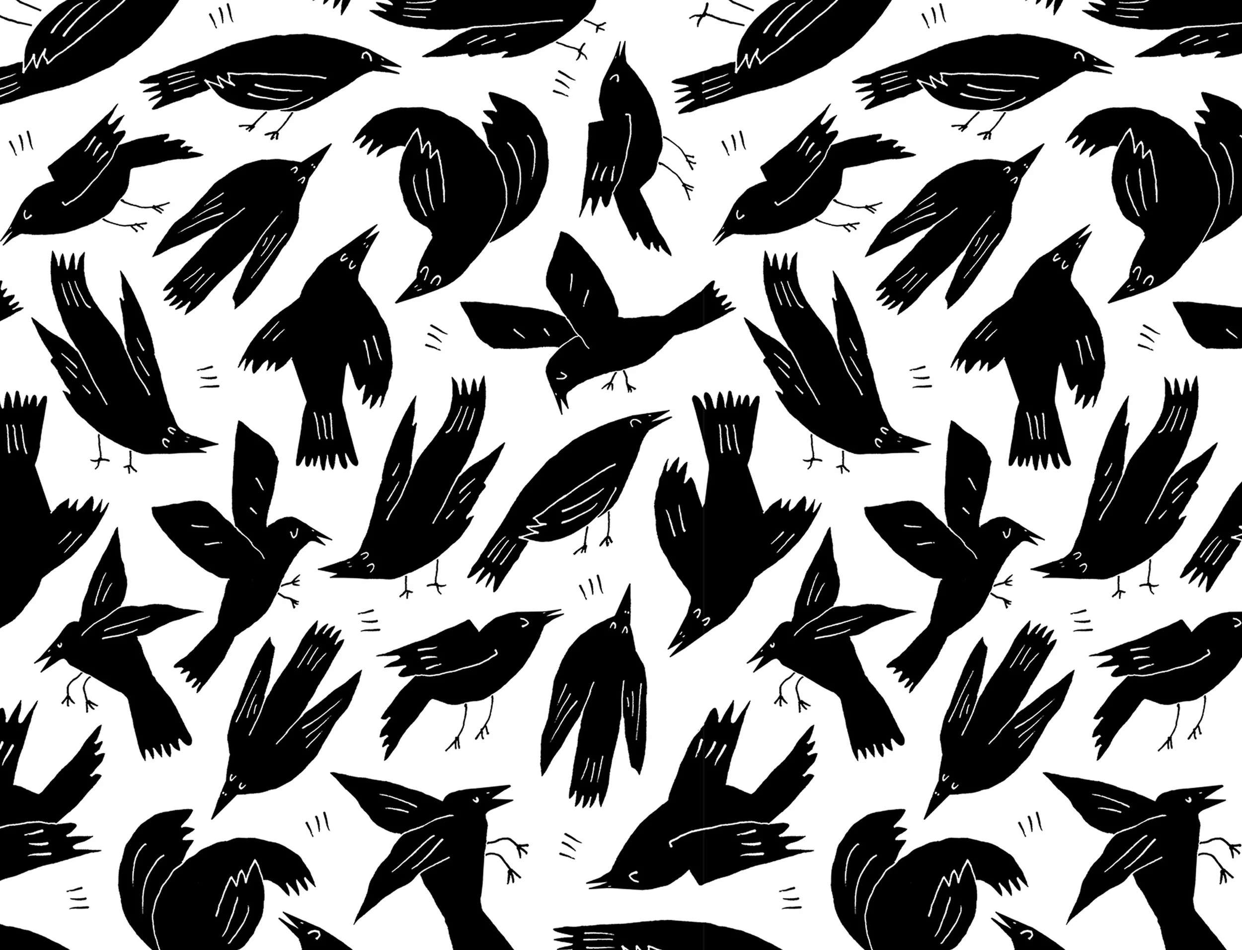 Jackdaws for Verson Puoti