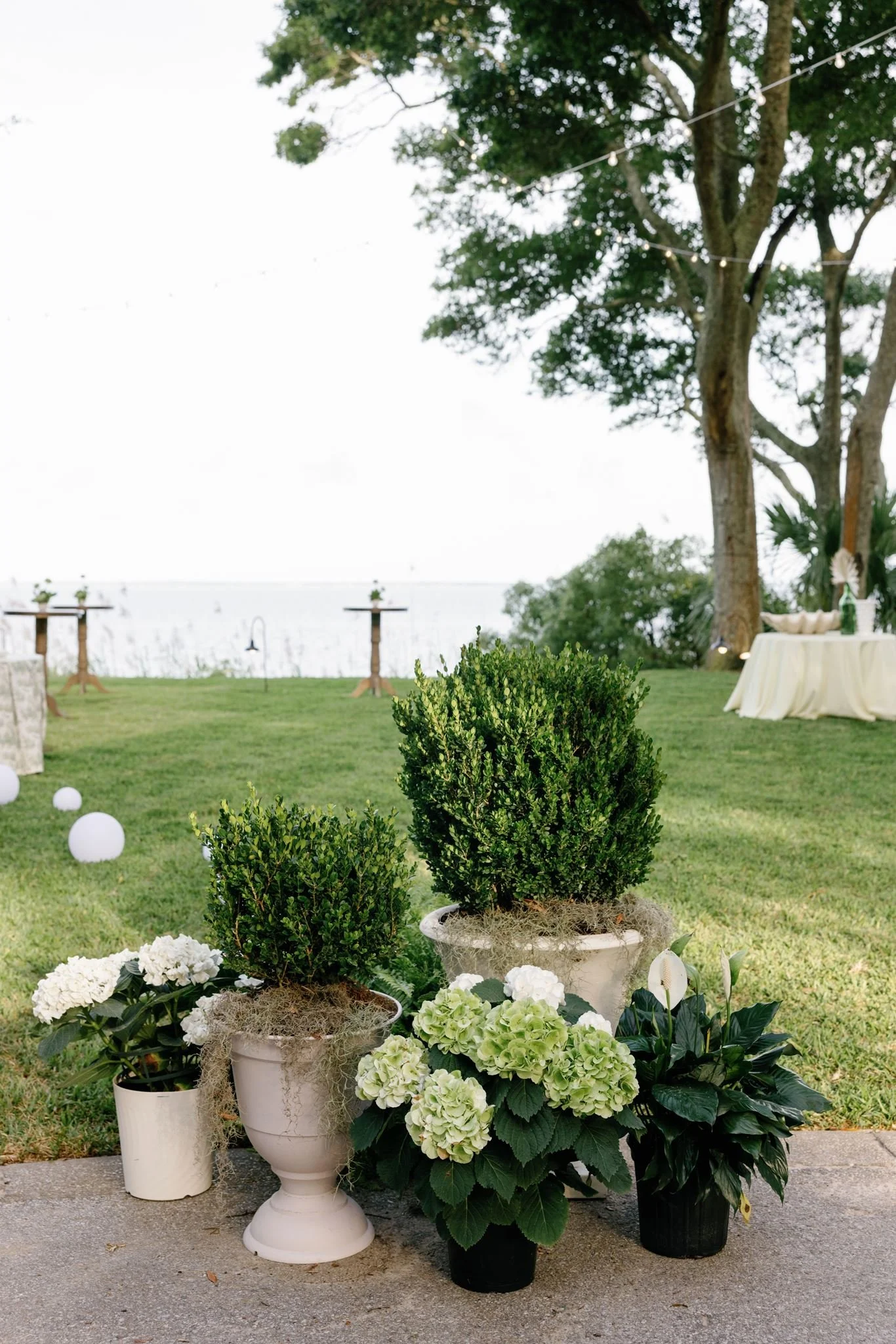 Arrangement of potted green plants and flowers on a sidewalk outdoors, with trees, a grassy yard, and outdoor furniture in the background.