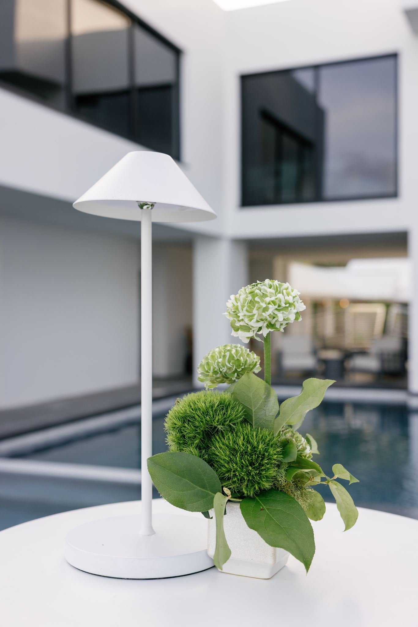 A white decorative lamp with a shade, placed on a table, alongside a plant with green foliage and spherical green flowers.