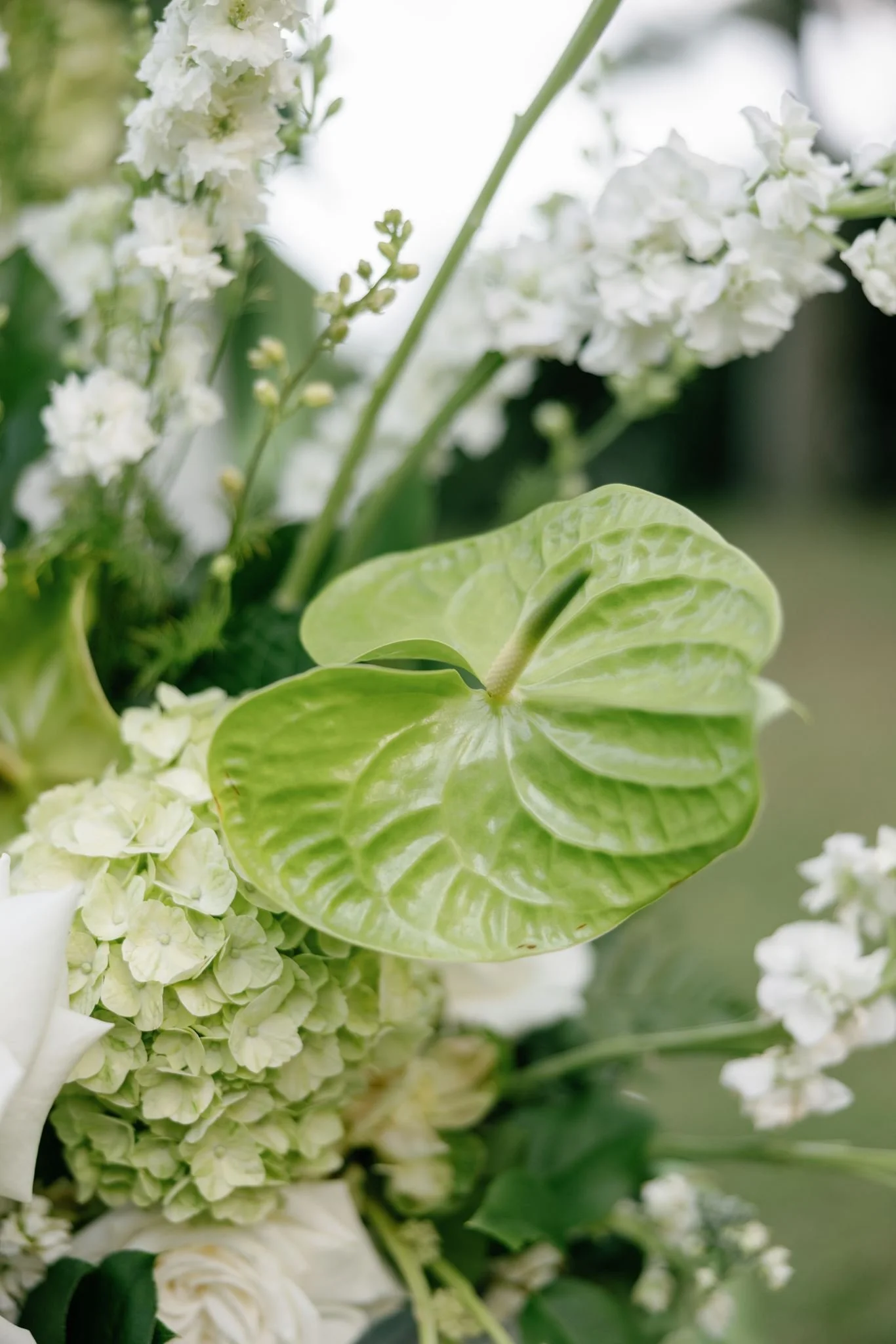 Close-up of white flowers and green leaves in a floral arrangement.