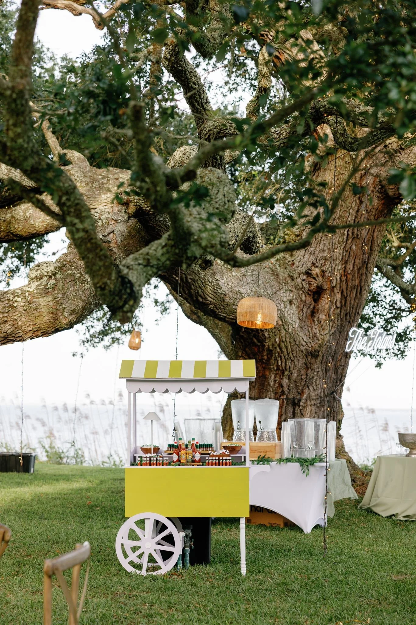 A white and yellow food cart set up outdoors under a large tree. The cart sells various condiments and has bottles of hot sauce, jars, and other items displayed on top. There are hanging lanterns and a sign that says 'The Talon'. In the background, t