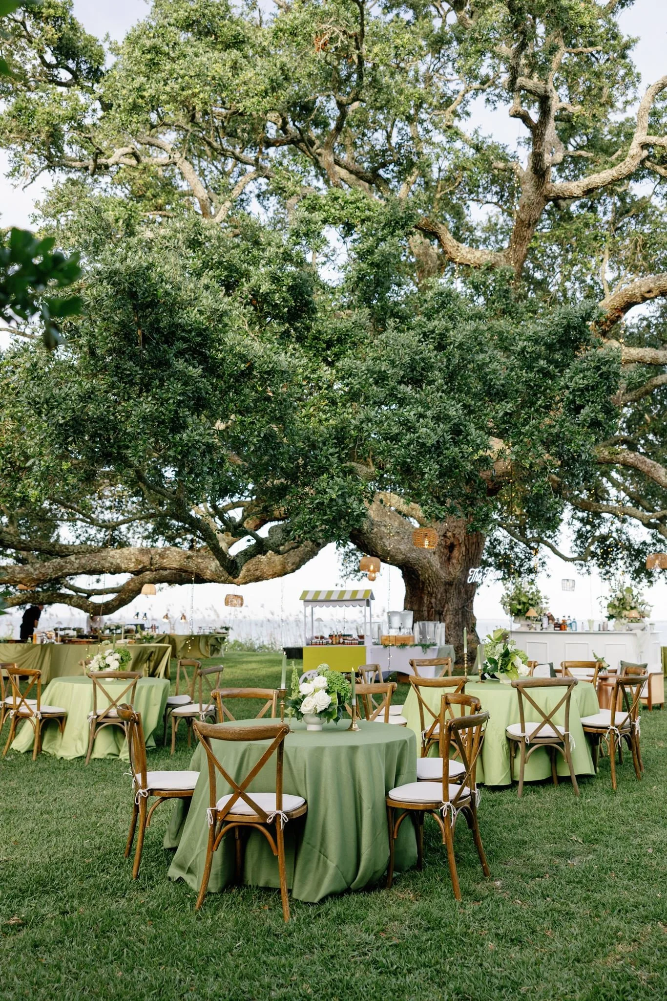 Outdoor event setup under a large tree with round tables covered in green tablecloths and floral centerpieces. Wooden chairs surround the tables, and there are string lights hanging from the tree. A white bar and sign are visible in the background, w