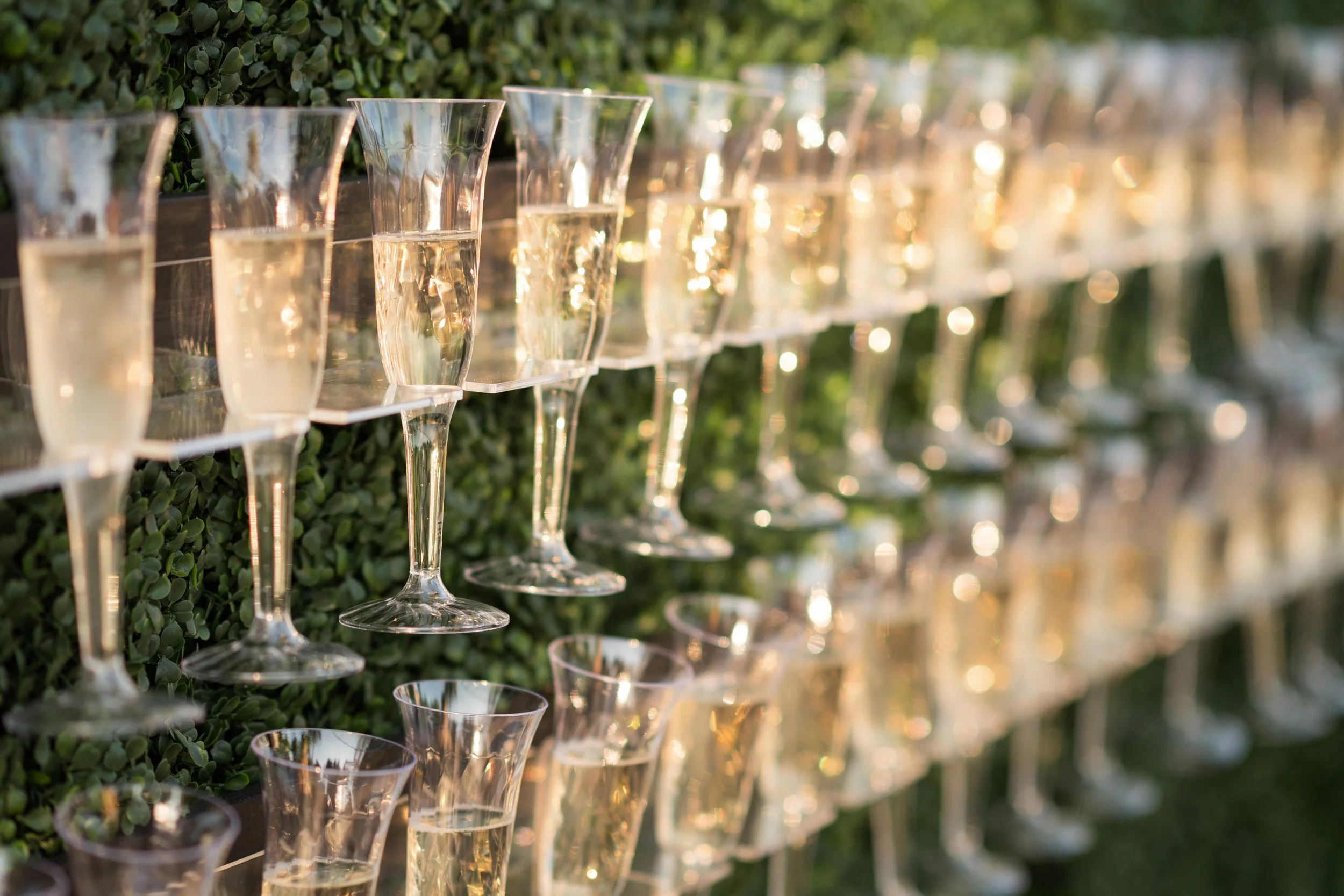 Row of empty champagne flutes on a counter with a green hedge background, sunlight reflecting off the glasses.