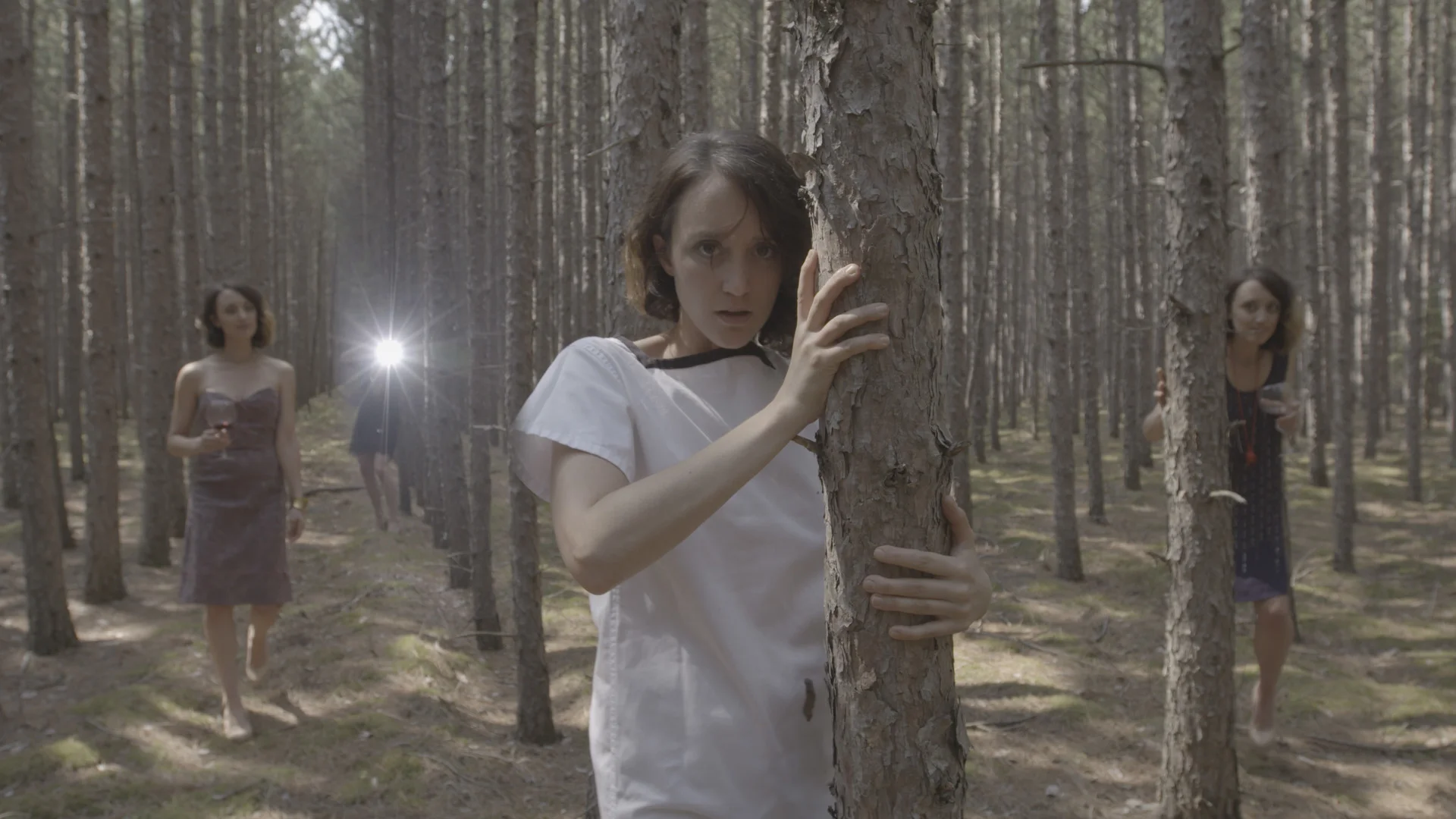 Empty Woods.jpg