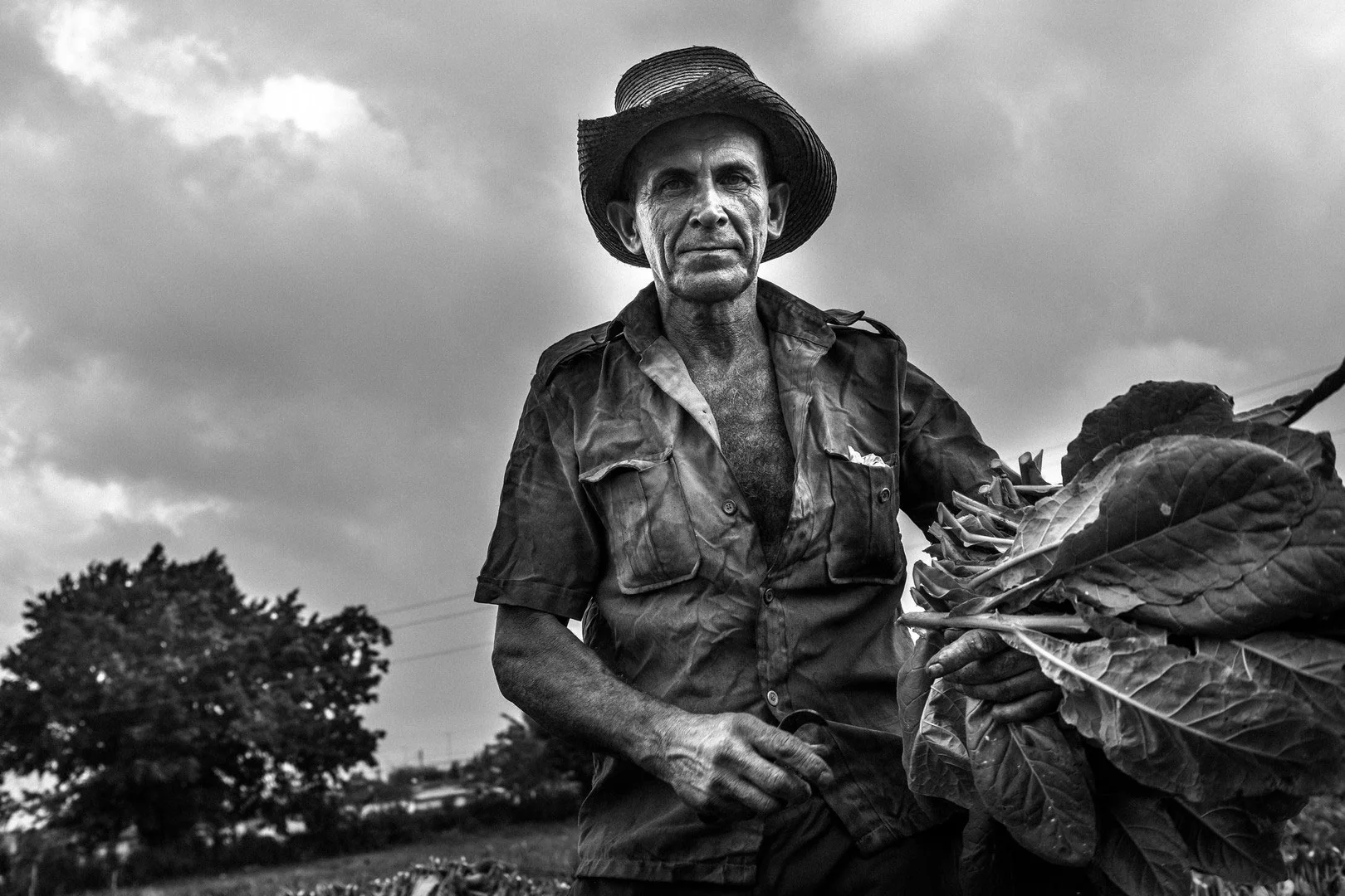 Campesino1.jpg