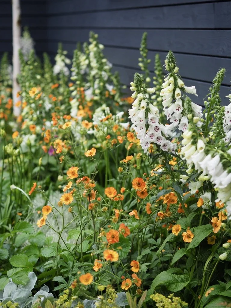 garden border ideas chelsea