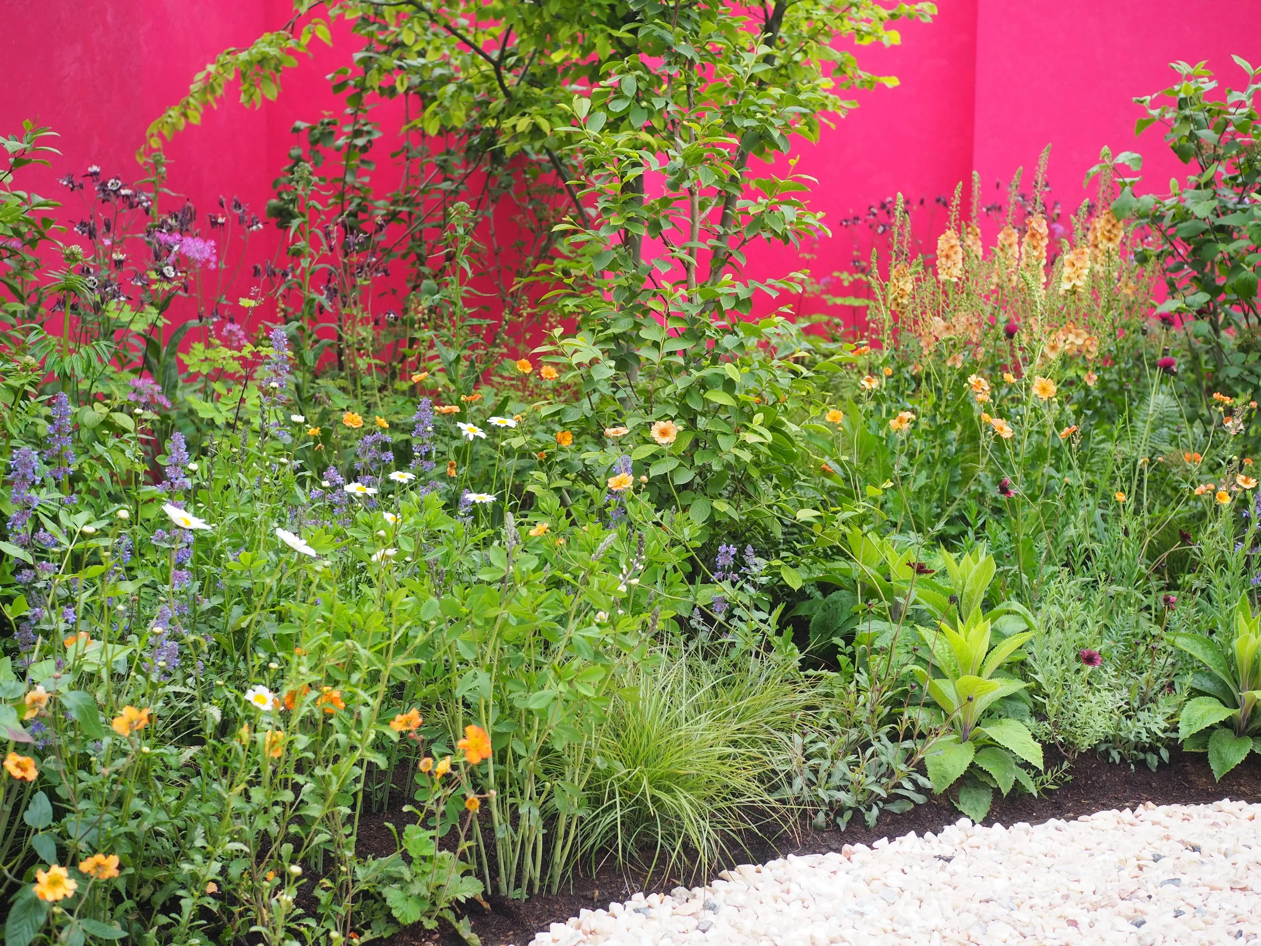 garden border ideas