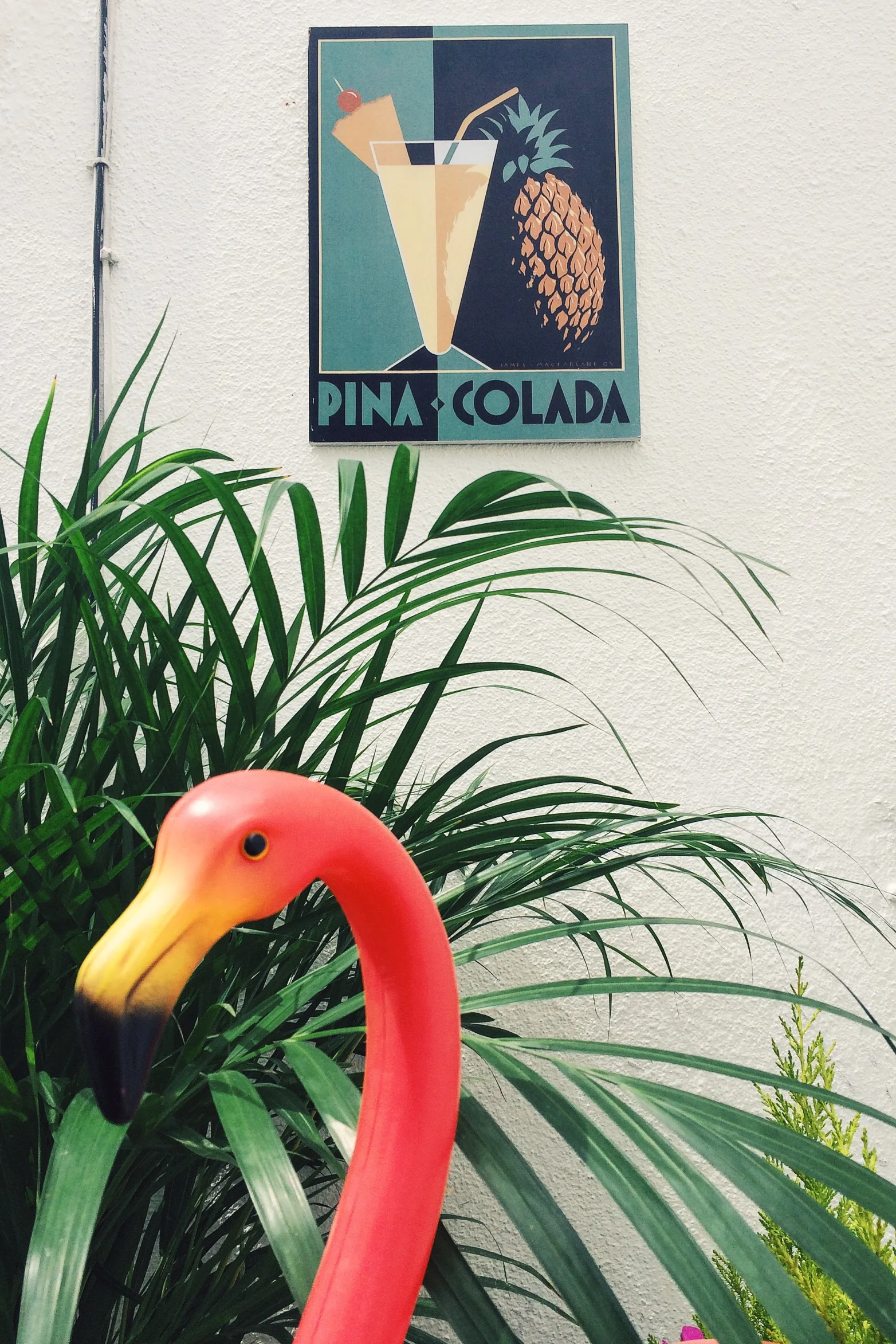 Totally tropical.....