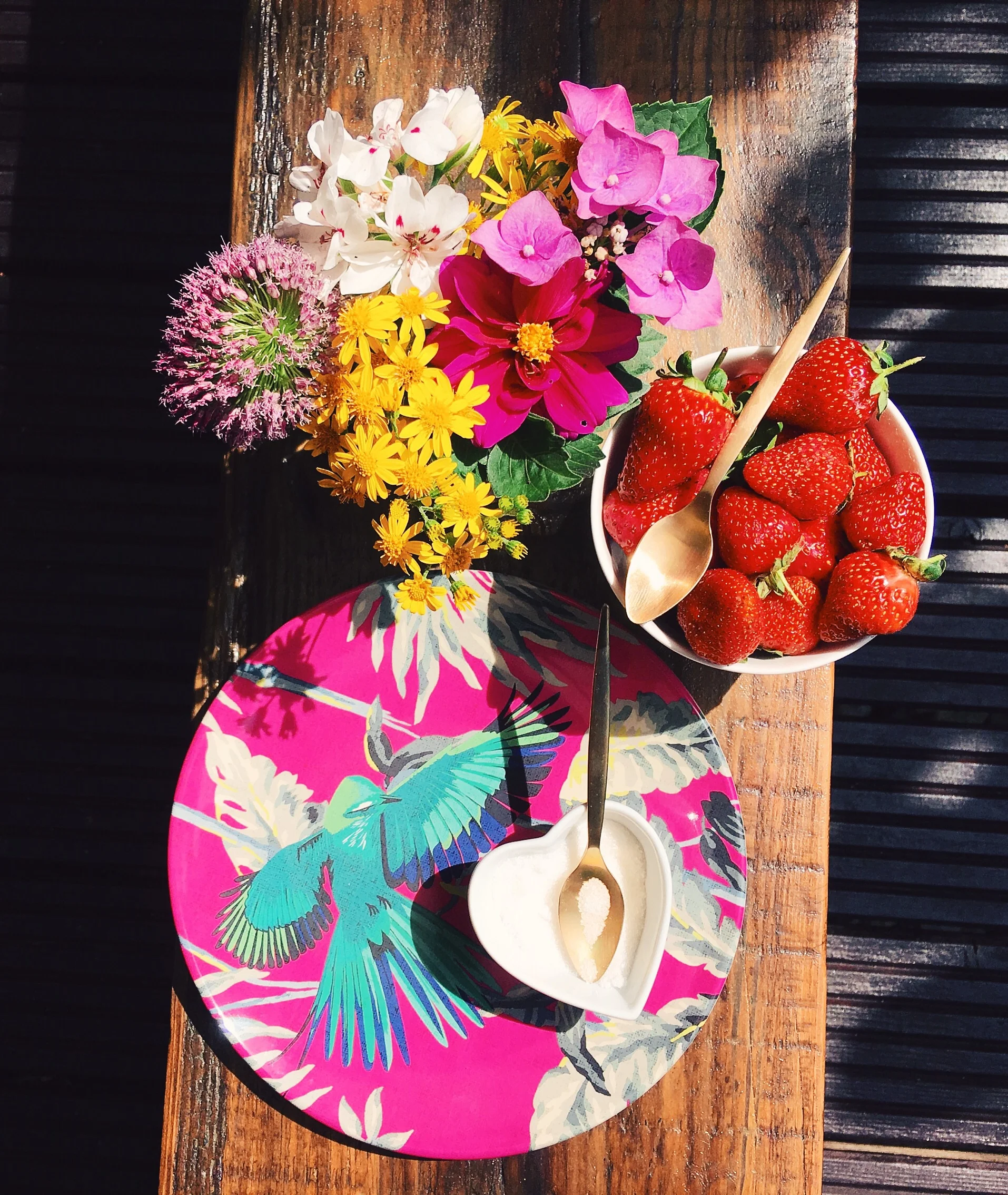 This beautiful melamine picnic plate is by Matthew Williamson for Debenhams .