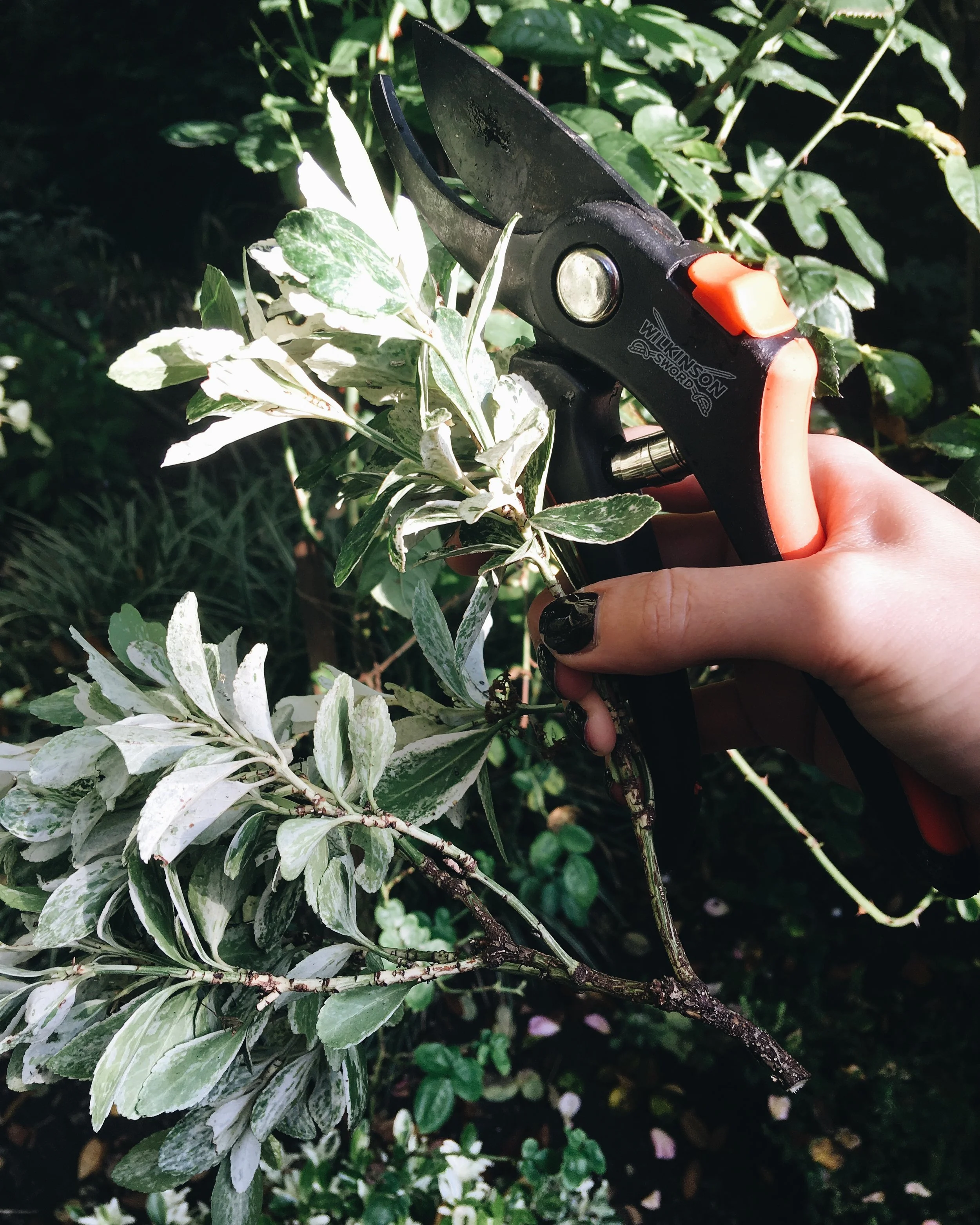 Pick strong foliage with woody bases that won't wilt for a few weeks.