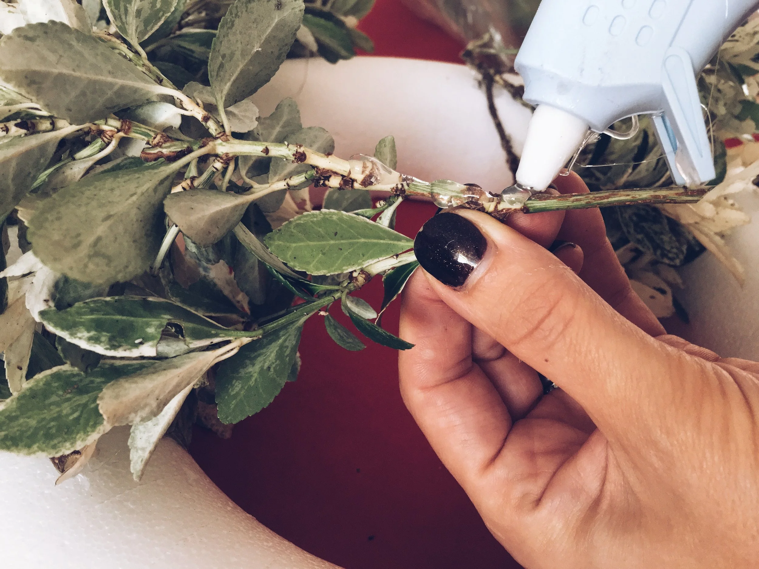 Glue down the base of the foliage stalk to attach to your polystyrene base.